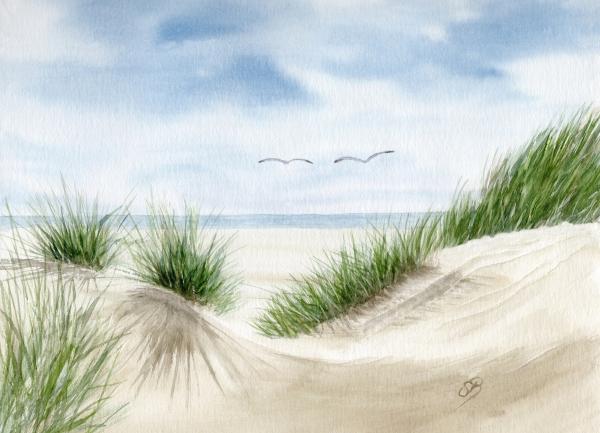 Postkarte DIN-A6  Düne im Sommer Aquarell Maritim Kunst Druck Kunstdruck Dänemark Nordsee Ostsee Dünen Meer Möwe Strand Amrum Sylt